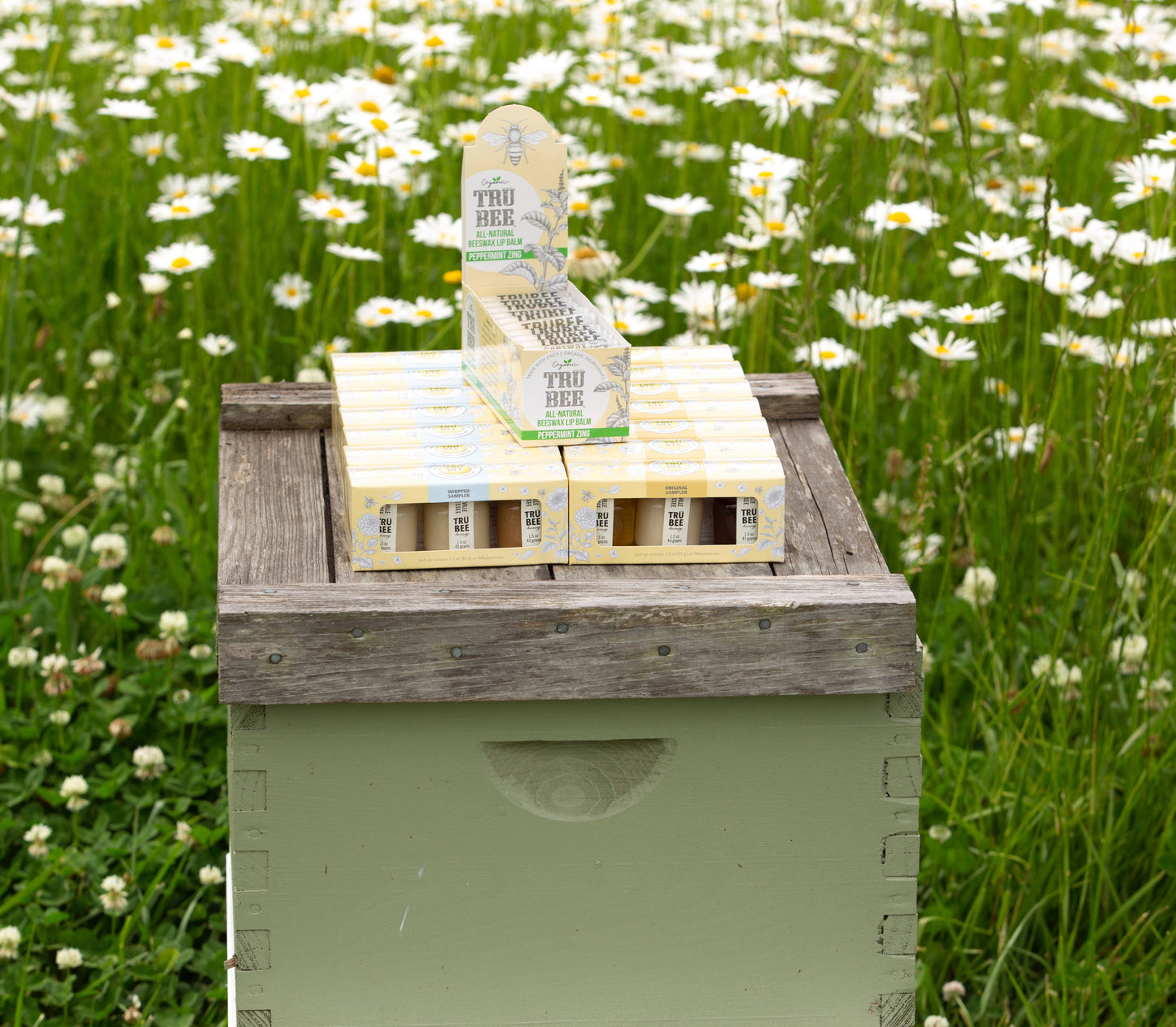 TruBee Honey - Mini Honey Sampler WHIPPED