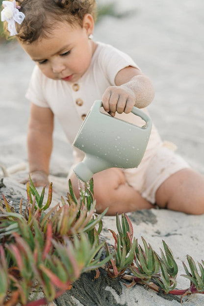 Marlowe & Co - Dried Thyme Garden Set