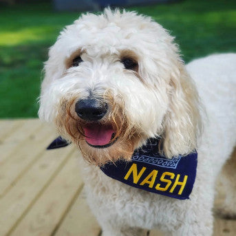 NASH Bandanas